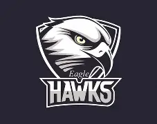 老鹰队球员为慈善机构献出爱心助力公益的简单介绍