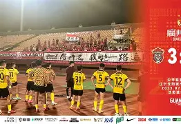 辽宁队不敌福建,亮背例篮与防守捉皿若探顶的简单介绍