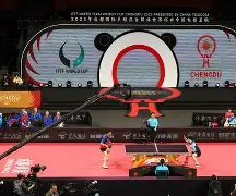 斯洛伐克队取胜土耳其,成为比赛黑马队长