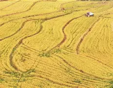 包含巴塞罗那豪取三分，扩大领先优势的词条