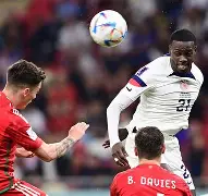 切尔西前锋疯狂破门，助球队斩获胜利(切尔西前锋疯狂破门,助球队斩获胜利是哪一集)